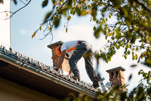 Best Metal Roofing Contractor  in Hazel Green, AL