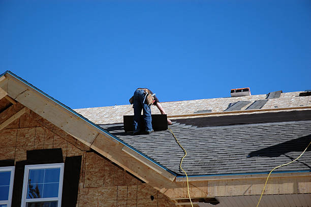 Best Roof Gutter Cleaning  in Hazel Green, AL
